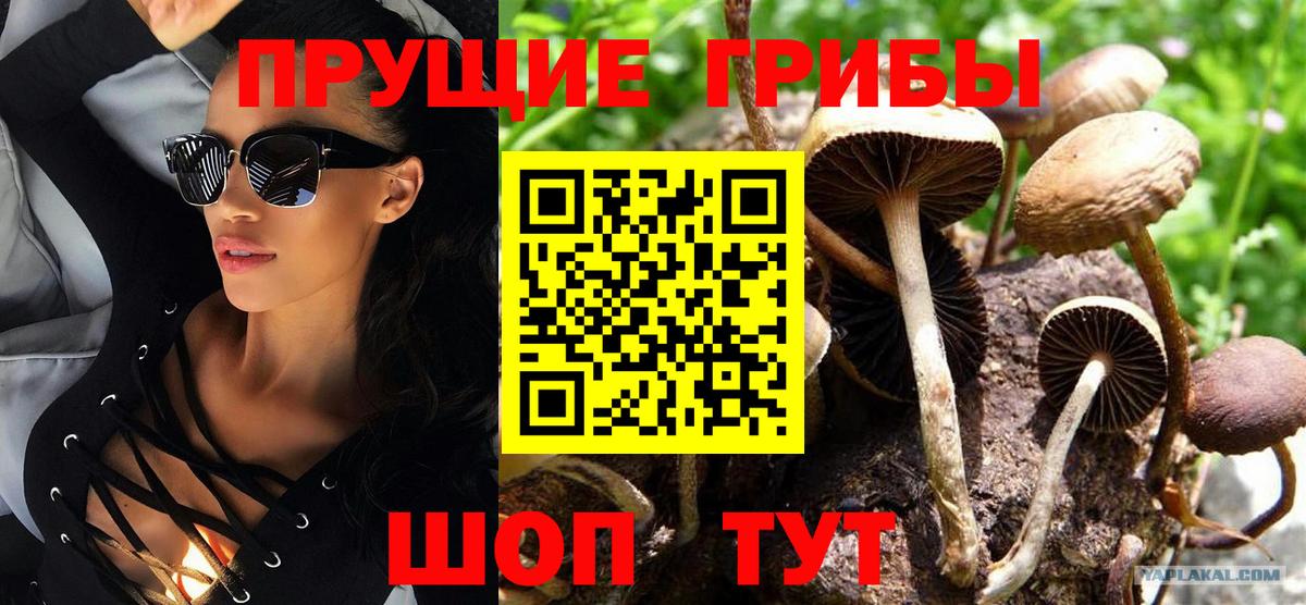 Псилоцибиновые грибы Magic Shrooms  Вход с VPN  Воронеж 