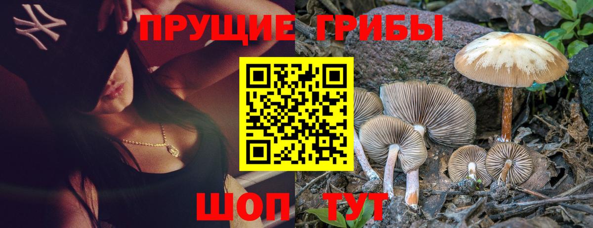 Псилоцибиновые грибы Magic Shrooms Воронеж